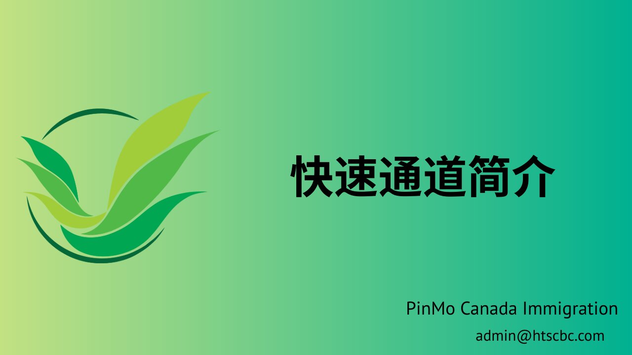 快速通道简介