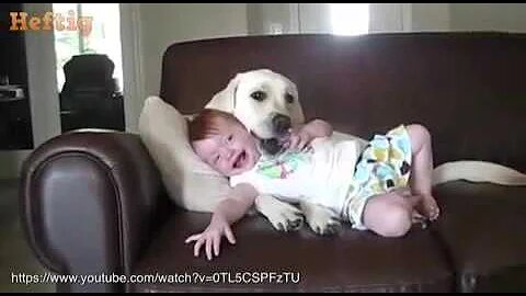 baby playing with cute and caring dog