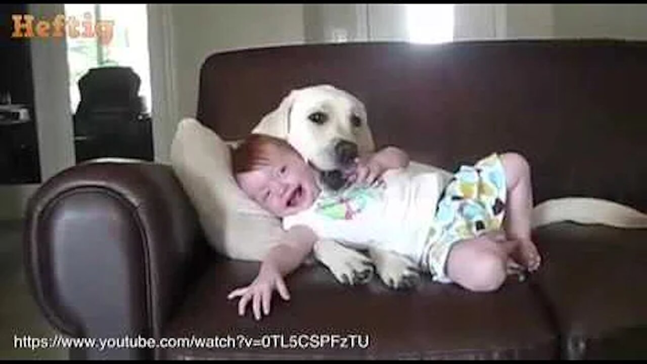 baby playing with cute and caring dog