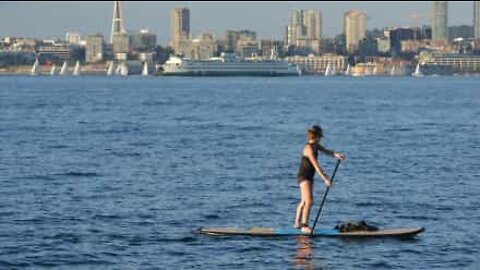 Hilarious paddleboarding fail