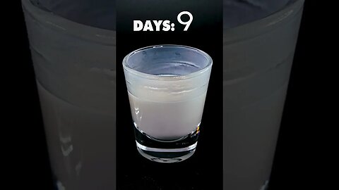 Glass of Milk Timelapse