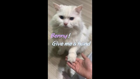 Benny! Give me a hand