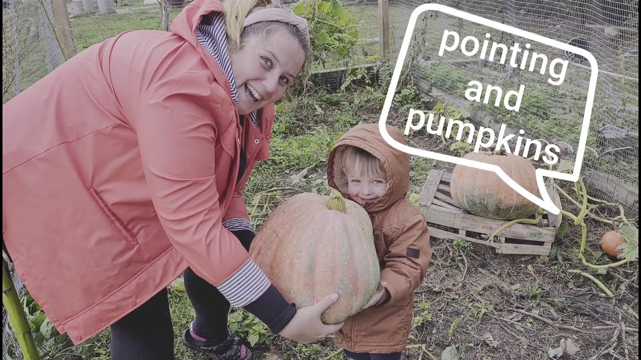 Escape to rural france -pointing and pumpkins EP010