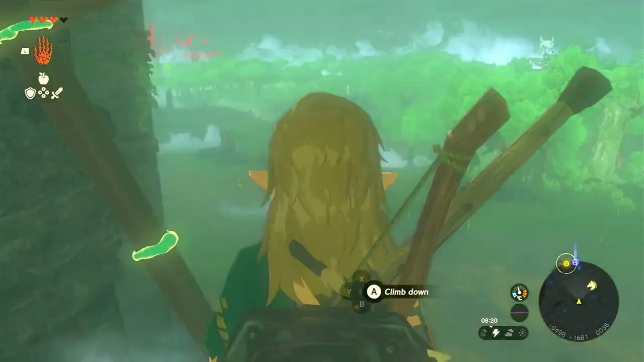 Korok Seed #8 | Zelda Tears of the Kingdom