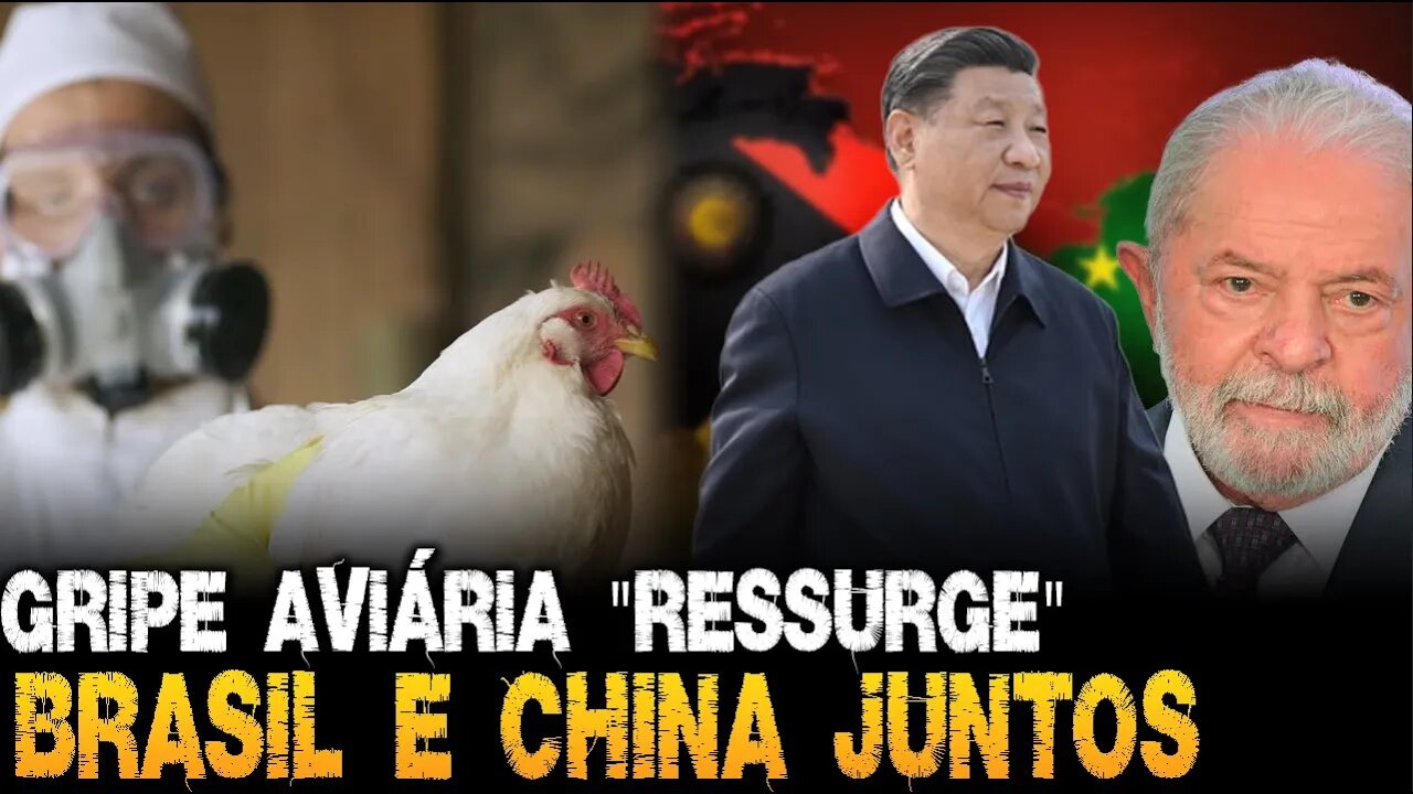 Melhor se preparar! Crise e Brasil "aliado" da China como nunca antes | Gripe aviária "ressurge"