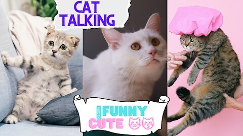 Cat 🐈😺 TALKING FUNNY 😂😂 IN ENGLISH!!!