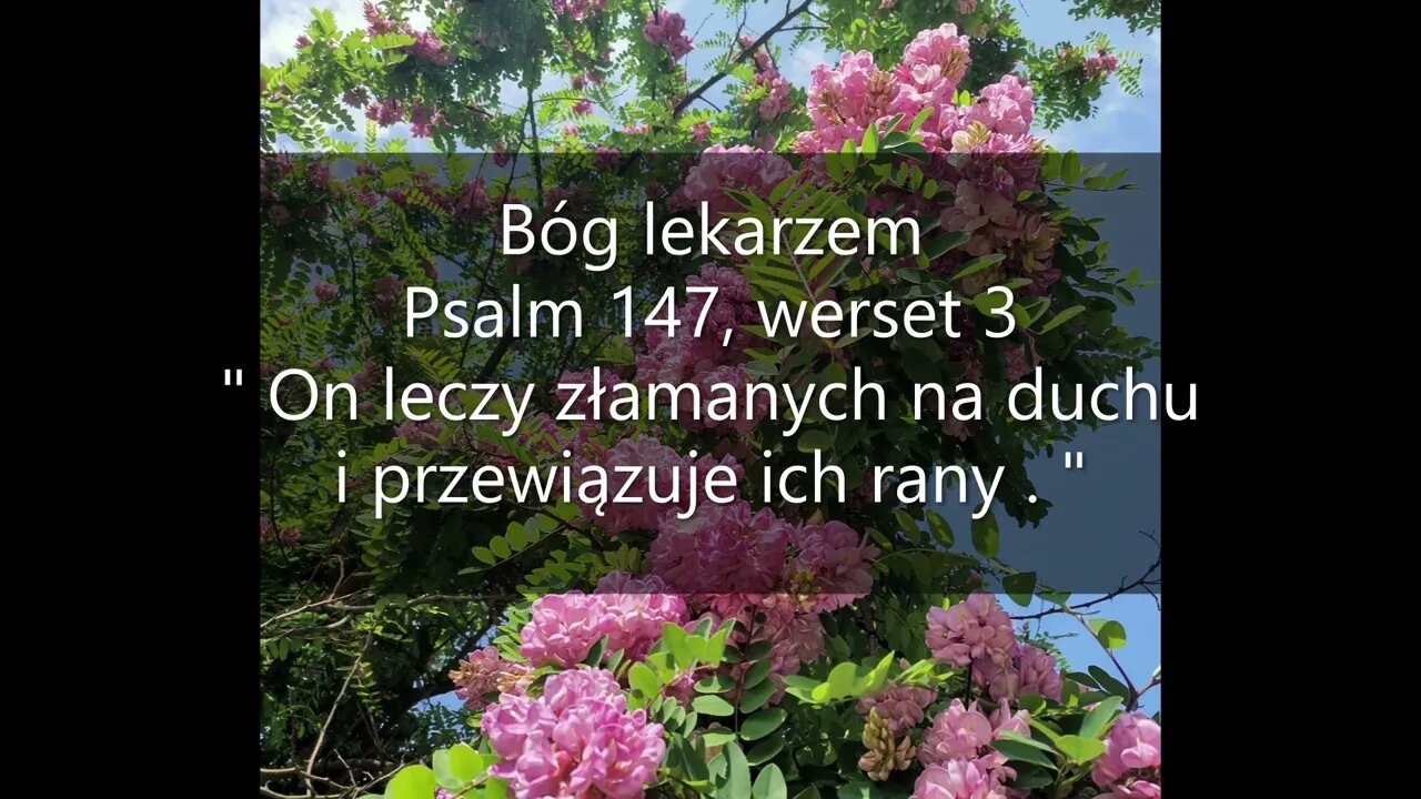 Bóg lekarzem - Psalm 147, werset 3