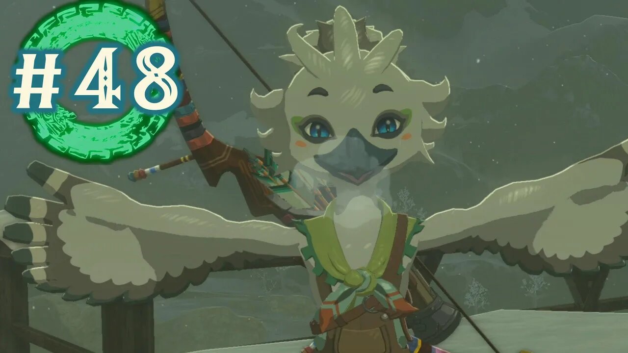 HEY ITS YOU... i guess - Tears of the Kingdom: Part 48