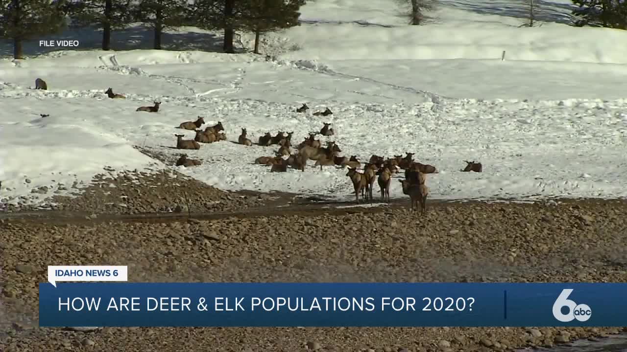 Hunters should have plenty of opportunities this season with growing populations of deer and an already thriving elk population