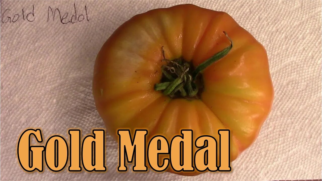 Tomato Review: Gold Medal