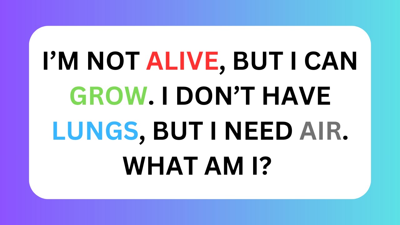 Only GENIUSES can solve these RIDDLES! | TRICKY RIDDLE QUIZ 🧩