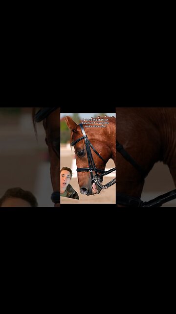 Not Being Able to See Horse Stress DOES NOT Mean It’s Not There