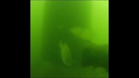 deep water footage