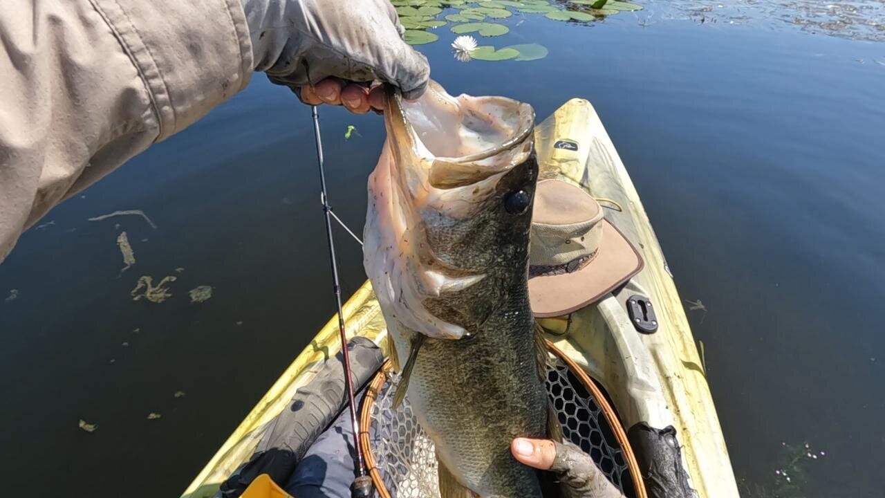 New PB Tournament Bass and Catch 22 Standing Update