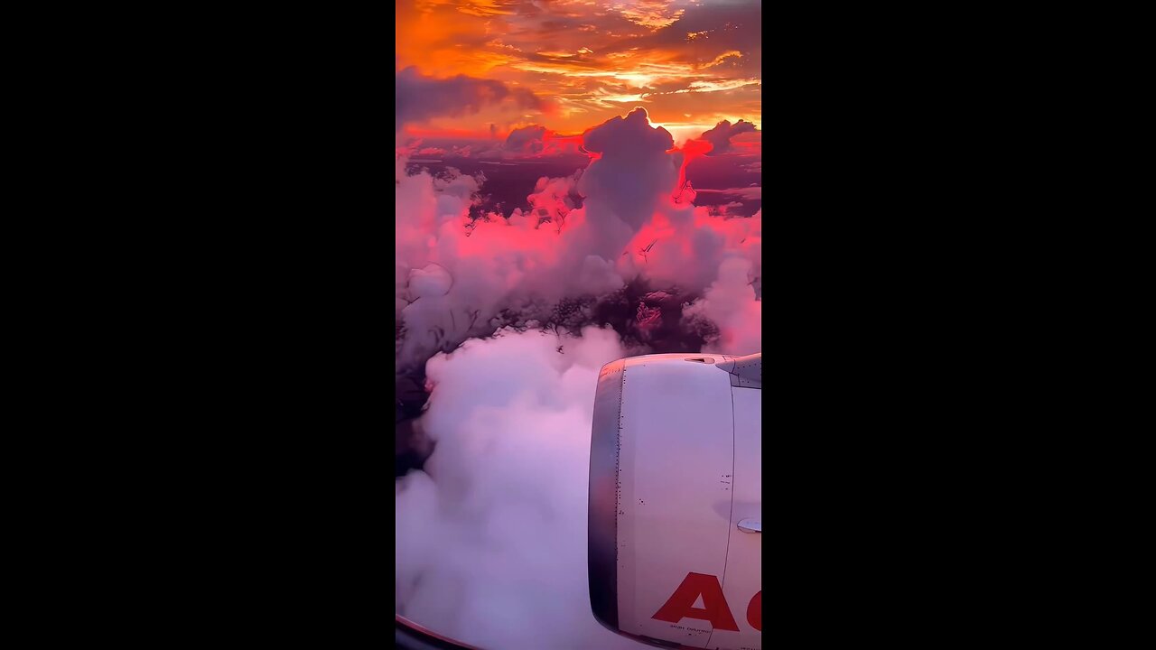 Are you a nature lover ❤️‍🔥😍