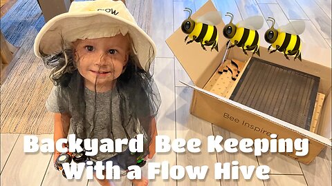 Building and Setting Up our Flow Hive for Backyard Bee Keeping