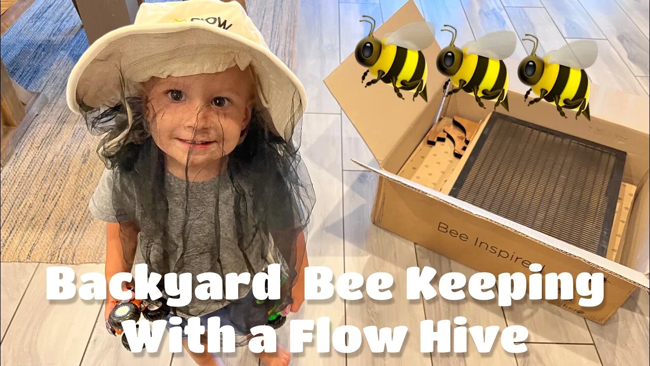 Building and Setting Up our Flow Hive for Backyard Bee Keeping
