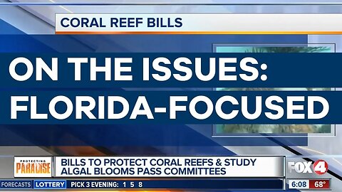 Sen. Rubio's Coral Reef Bills are 'Making Progress in Washington'