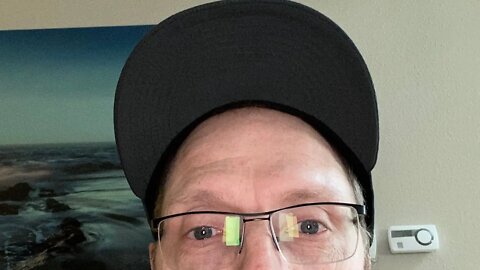 Saturday night chat with the Hedgehog's