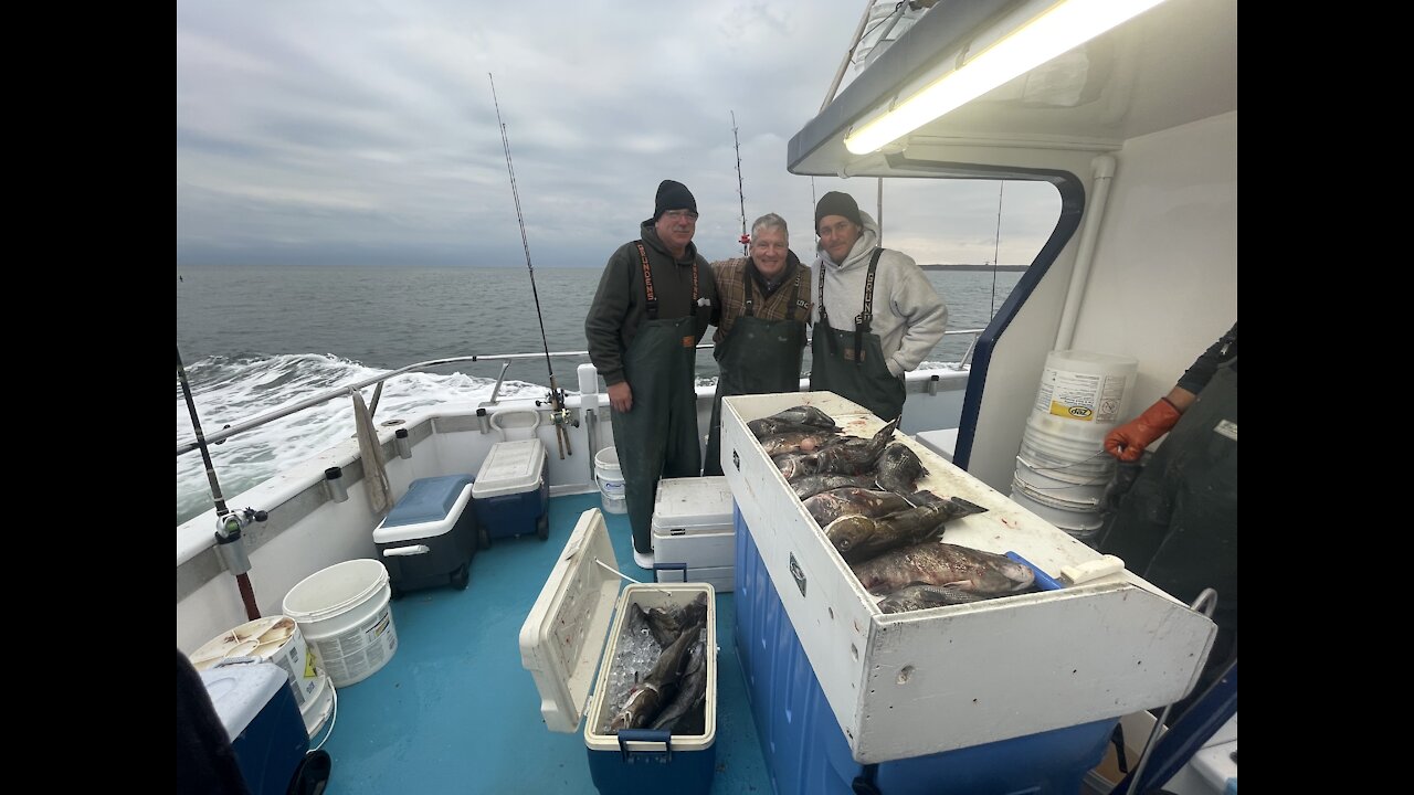 Miss Montauk Blackfish/Seabass/Codfish Trip November 28, 2021