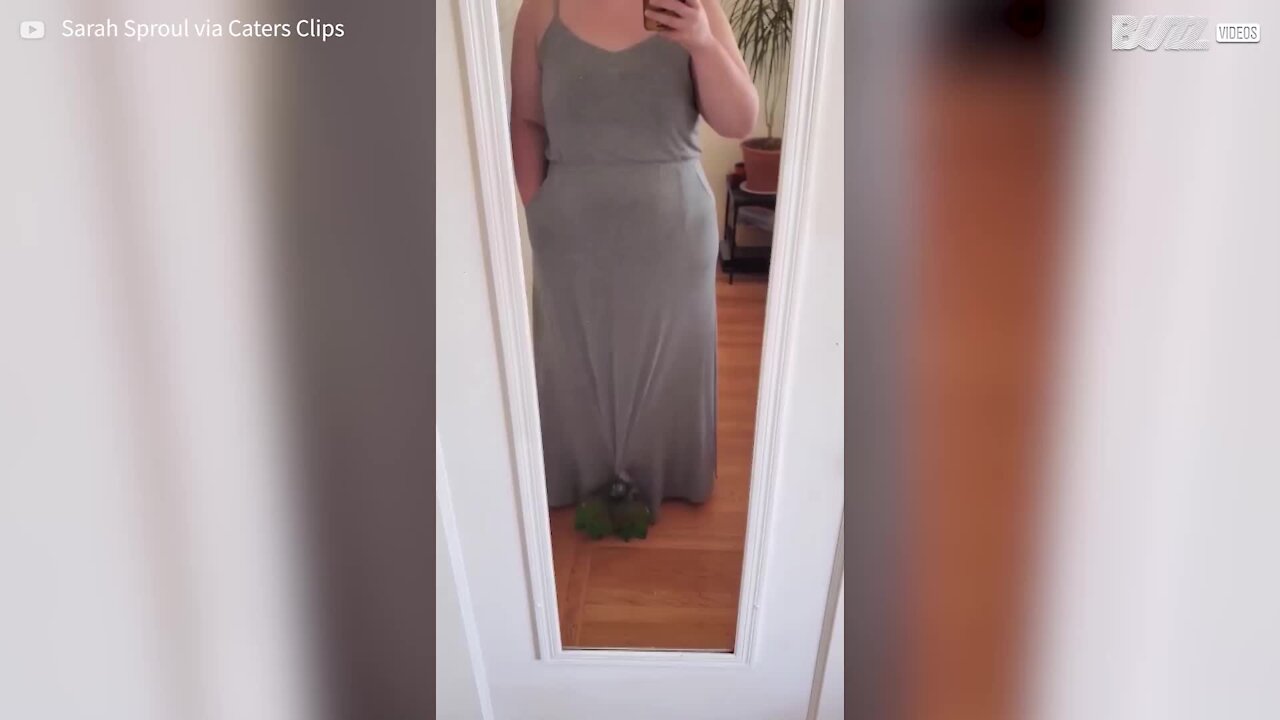Parrot climbs owner's dress in dramatic ascent