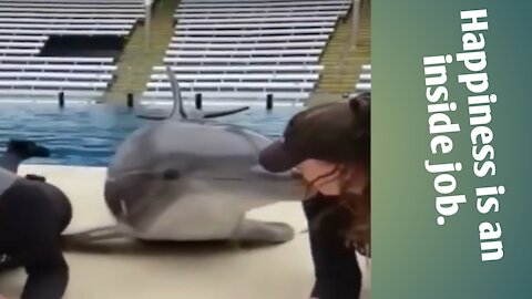 Play With Dolphin ||Kissing Dolphin ||Happiness is an inside job|