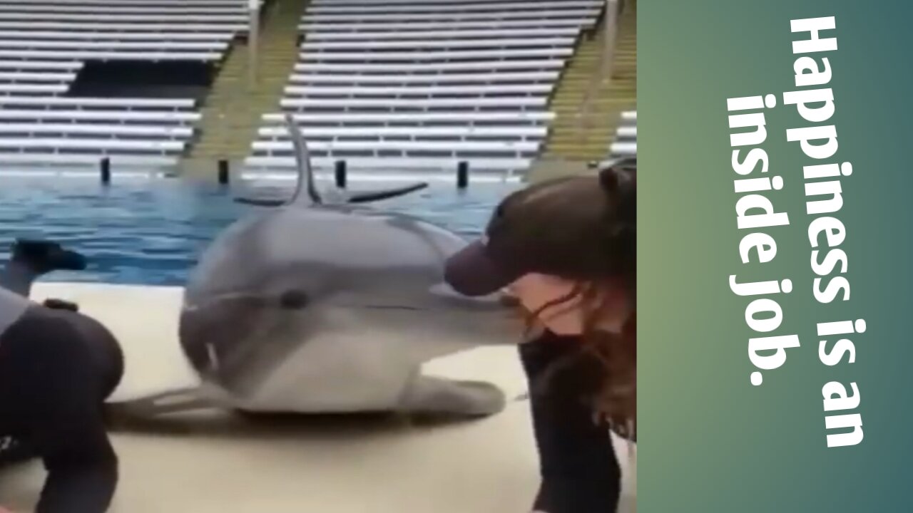 Play With Dolphin ||Kissing Dolphin ||Happiness is an inside job|