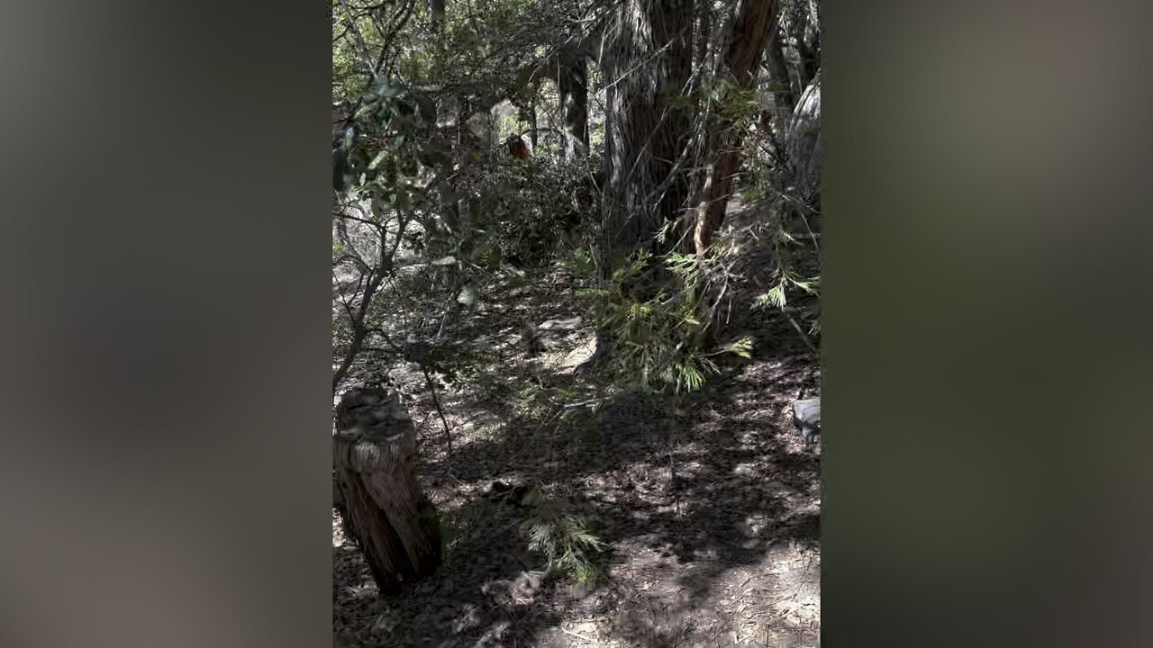 Hiking 🥾 to suicide rock idyllwild ca