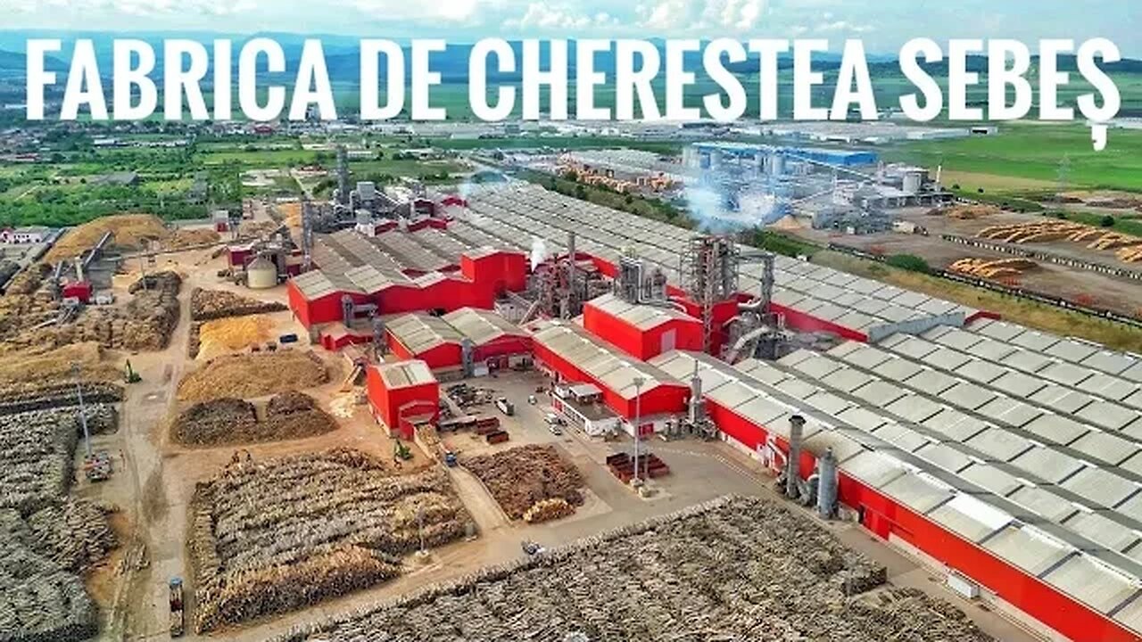 Cea mai mare fabrică de cherestea din România, Schweighofer Sebeș, vândută nemților de la Ziegler