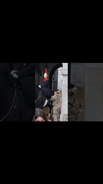 Brushing the kings guards coat #horseguardsparade