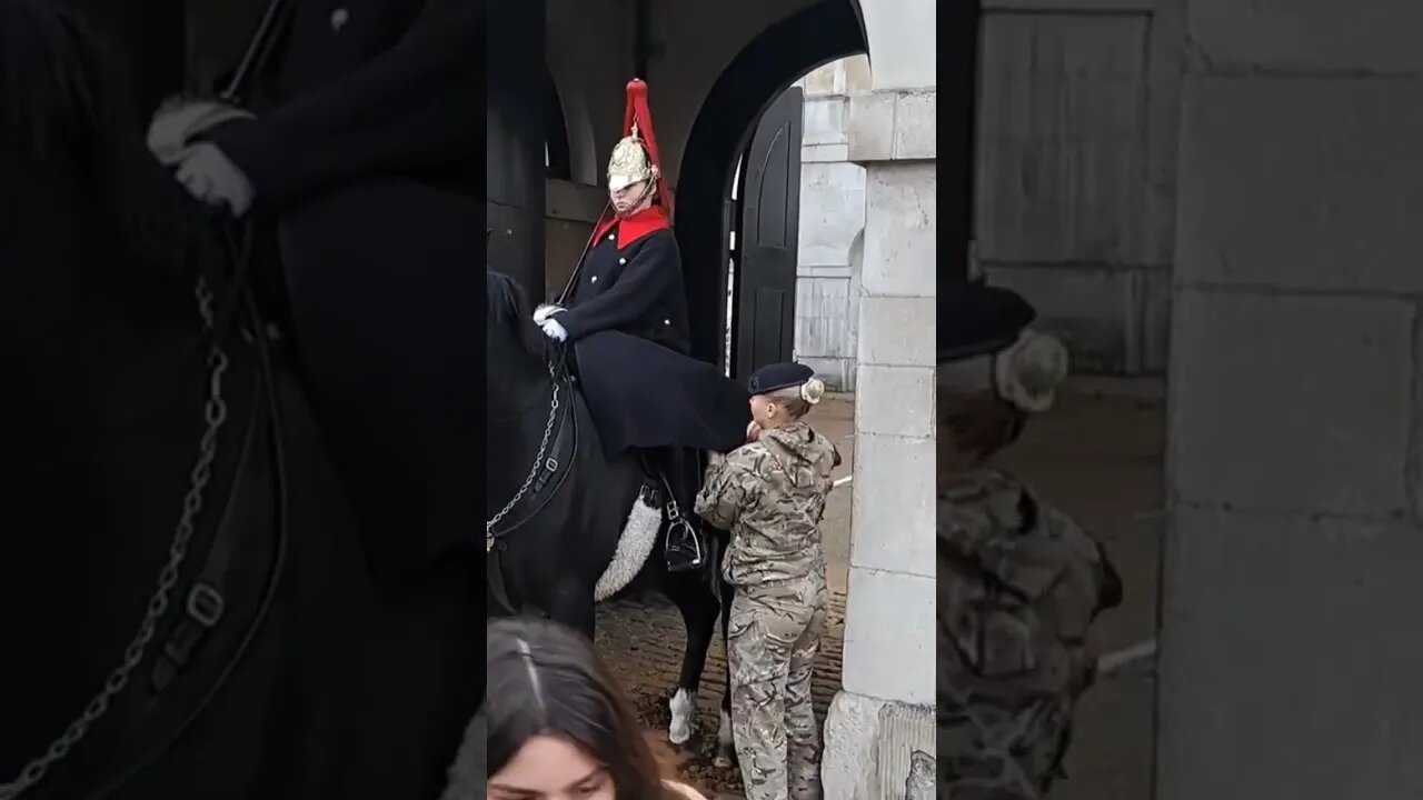 Brushing the kings guards coat #horseguardsparade