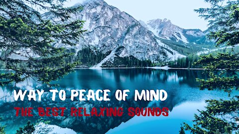 Way To Peace Of Mind: Relaxing Sounds Of A Campfire, Rain, Mountain Air, Forest, Sea Breeze