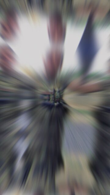 HAPPY VETERANS DAY TO ALL THE HOMIES!