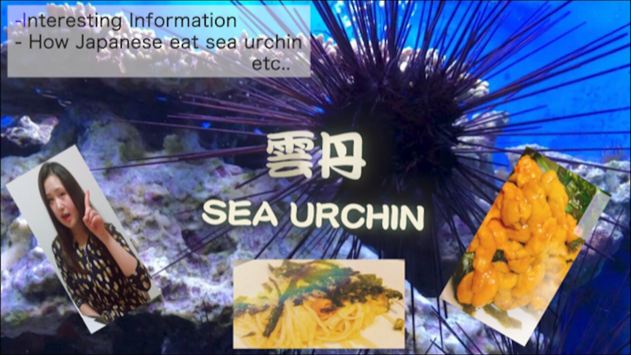 Sea Urchin---Japanese luxury food