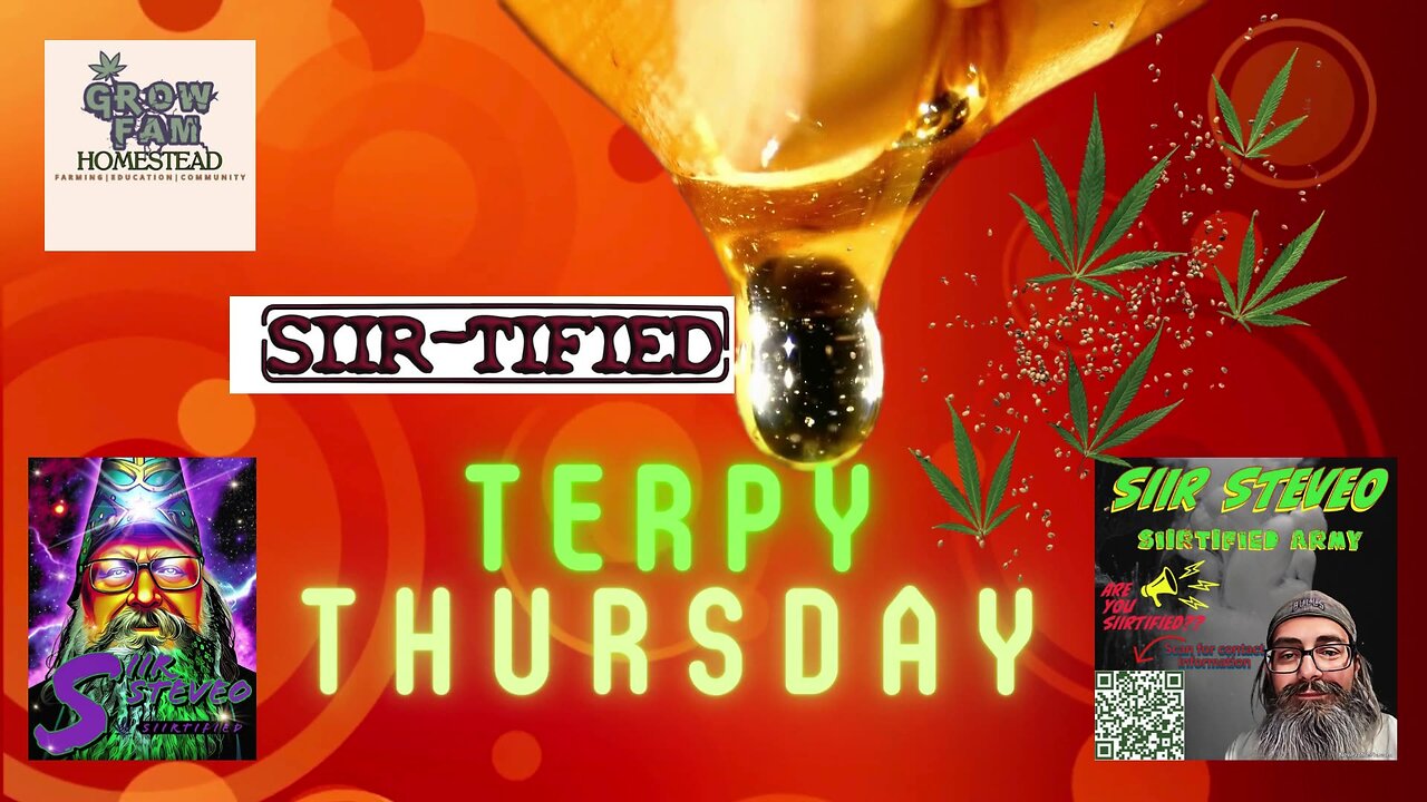 SIIRTIFIED TERPY THURSDAYS WITH SIIR STEVEO EPISODE 29