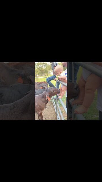 Cute adorable baby 🤩 funny baby playing, laughing, dancing, with mamma at home