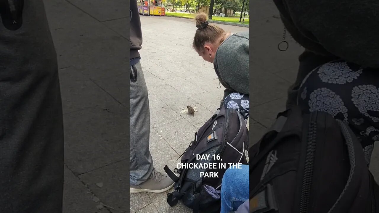 10/16/23 Day 16, Monday, Homeless hang out, fountain Boston Commons #homeless