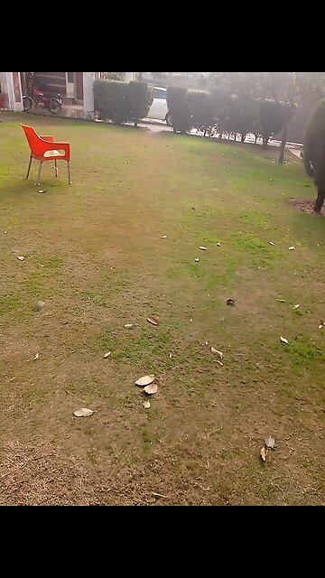 tomorrow morning rain 🌧️☔ coming