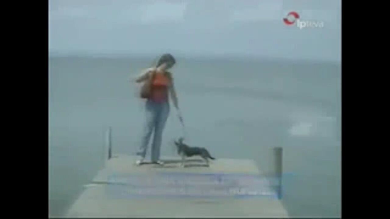 5 SEA SERPENT CAUGHT ON CAMERA