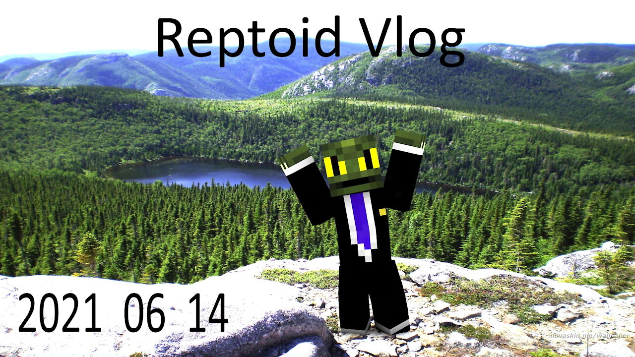 Reptoid Vlog 2021 06 14 - Moving forward with the weirdest lizard you know.