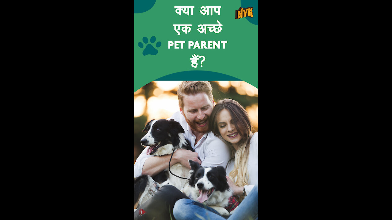 अपने pet की उचित देखभाल कैसे करे ?