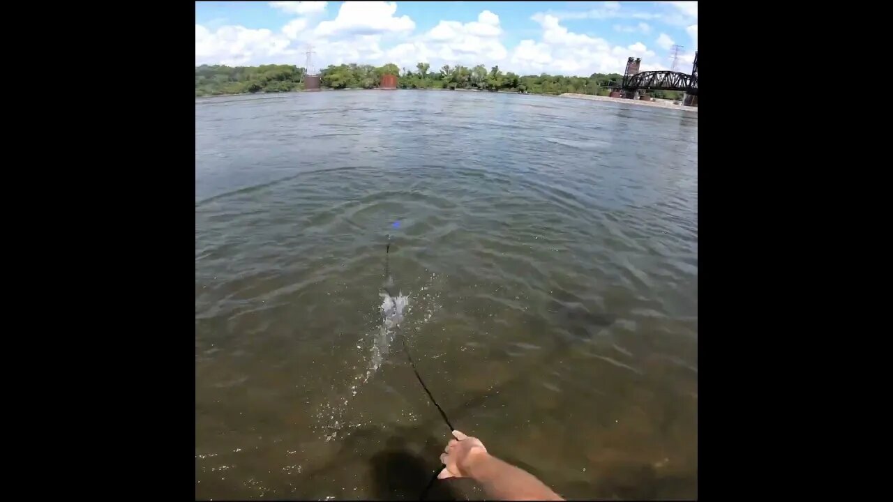 cast net for some bait