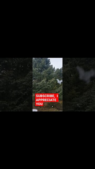 Catching Beautiful huge snow flakes #shorts #winter