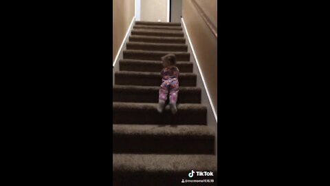 Fearless Little Girl Slides Down The Stairs