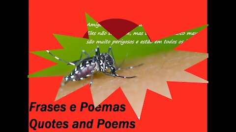 Amigos falsos são como o mosquito da dengue: São muito perigosos! [Frases e Poemas]