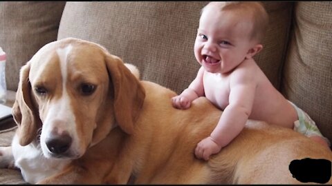 CHILD PLAYING WITH VERY CUTE DOG