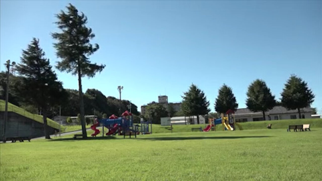 Dewey Park Cleanup