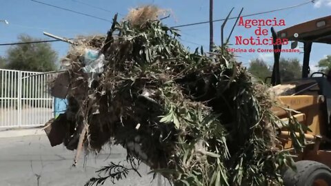 ARRANQUE DE MEGA CUADRILLAS PARQUE LA JUNTA
