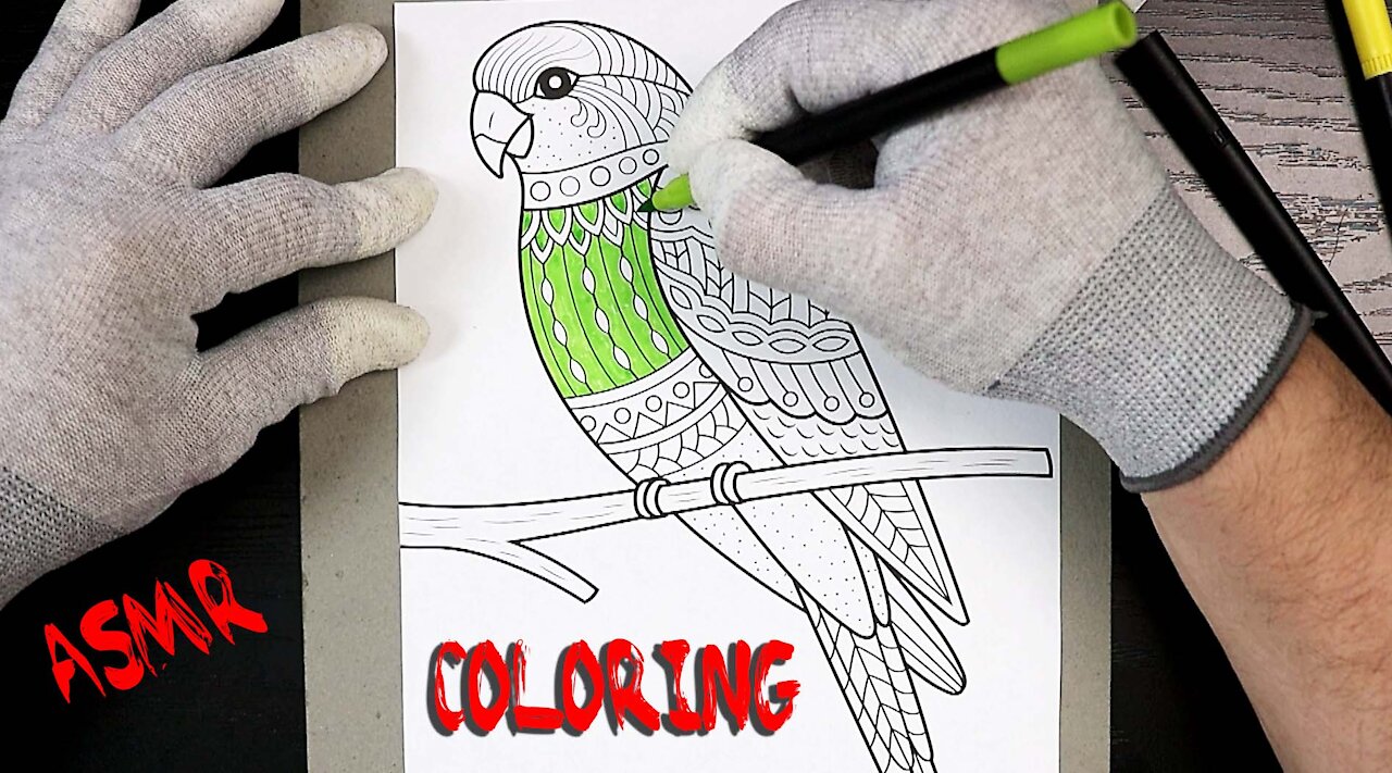 ASMR Coloring Animals-Parakeet