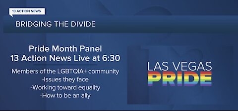 Pride Month Panel on 13 Actions News